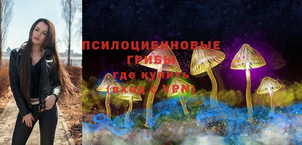 ECSTASY Алексеевка