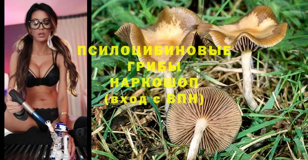 ECSTASY Алексеевка
