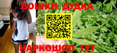 крисы Волгодонск