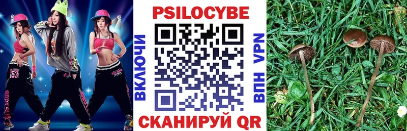 Псилоцибиновые грибы мицелий Волхов